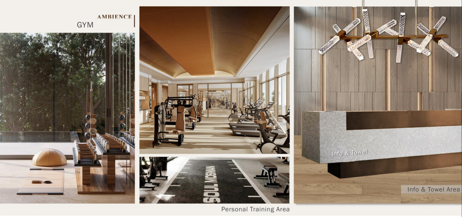 phoi canh phong gym