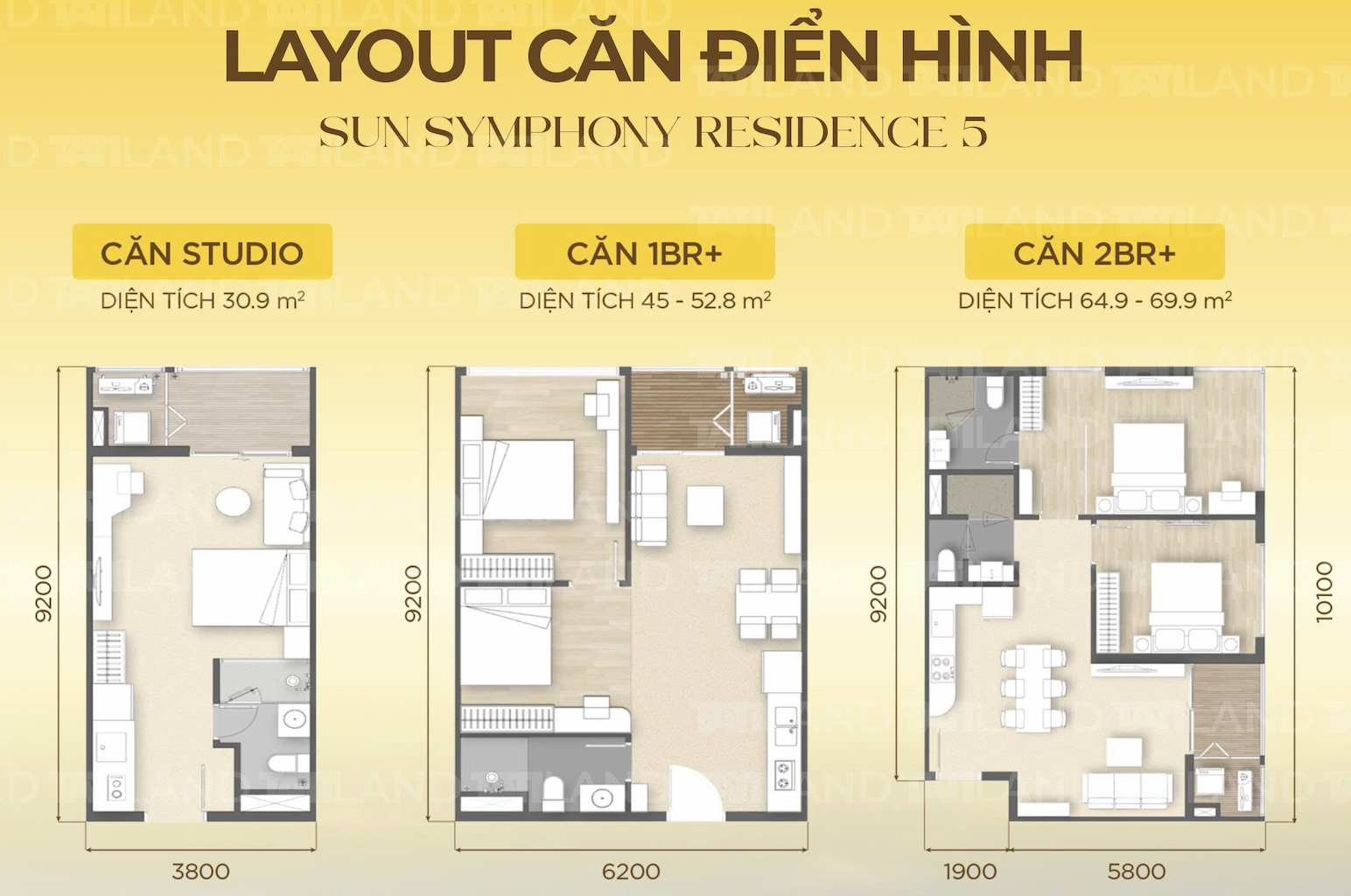 layout can dien hinh